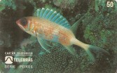 PEIXES - JAGUARIÇA -
